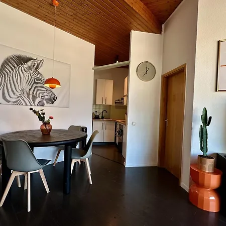 Orange Zebra 4p Mit Tiefgarage Appartement *