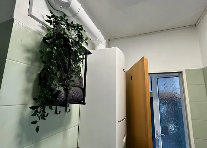 Appartement Orange Zebra 4p Mit Tiefgarage